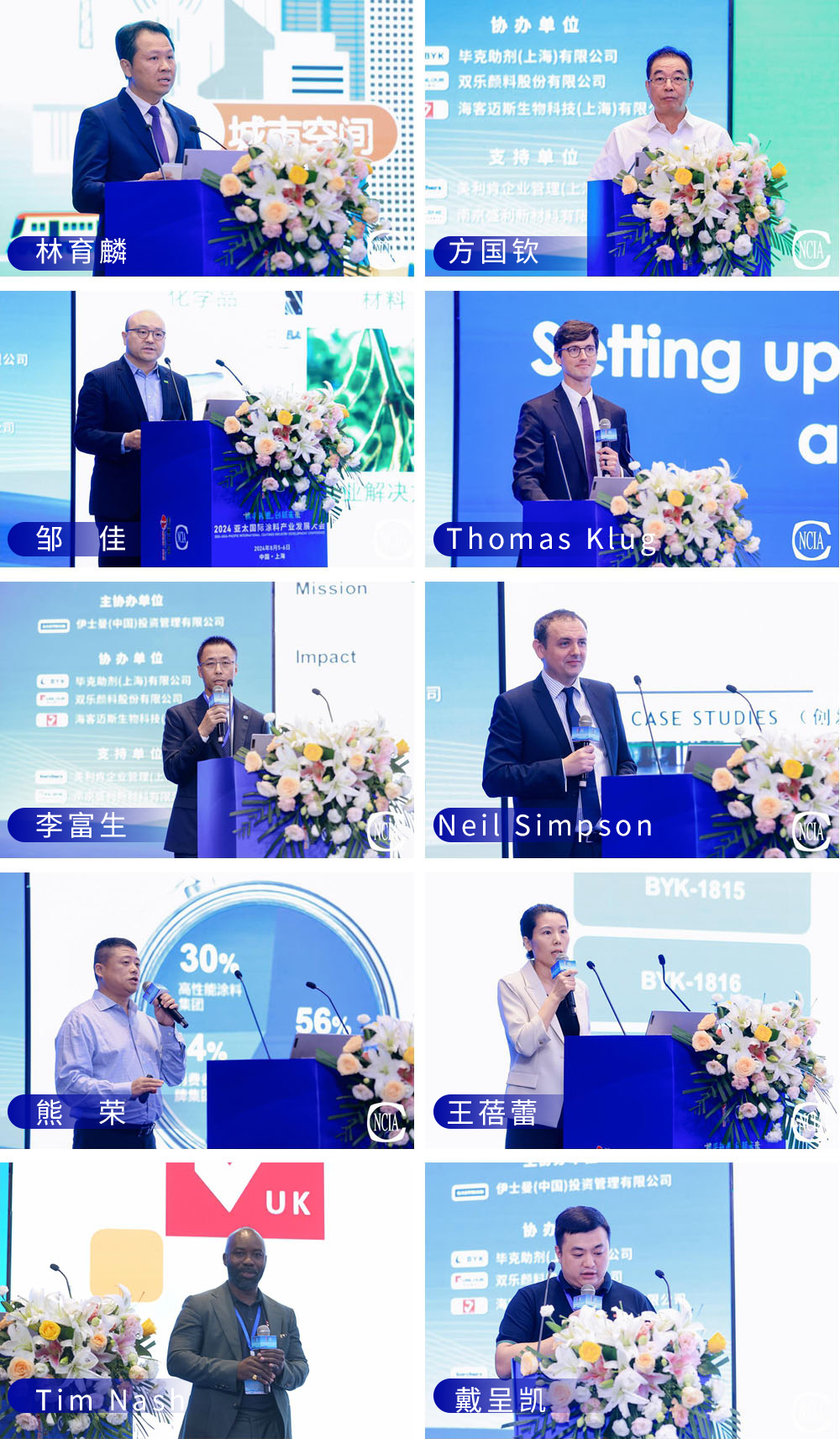 立邦、三棵树、巴斯夫、伊士曼、PPG、美利肯、宣伟、毕克化学、海客迈斯、双乐